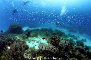 Raja Ampat. by Sergiy Glushchenko 